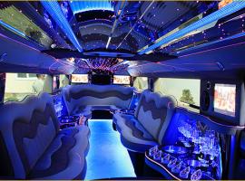 The charming interior of a limousine (in Kiev, Ukraine)